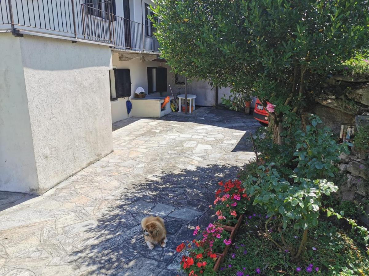 Da Zio Guido! Villa Bussoleno Exterior foto